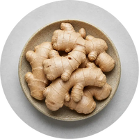 Ginger