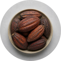 Cacao